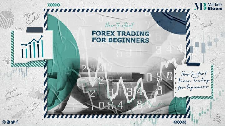 forex trading for begginers