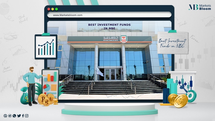 Best Investment Funds in NBE
