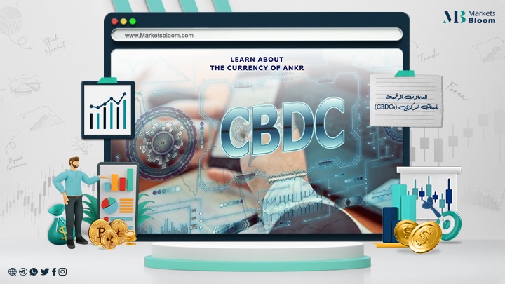 العملات الرقمية للبنك المركزي (CBDCs)