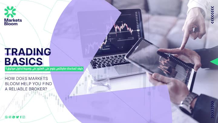 كيف تساعدك ماركتس بلوم على العثور على وسيط تداول موثوق؟