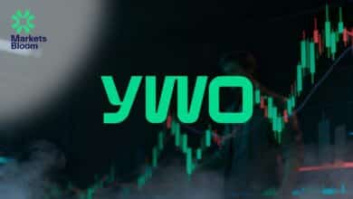 شركة YWO